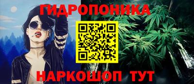 apvp Нальчик